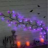 6 Ft 54 LED Halloween Willow Vine Twig 18 LED Pumpkins & Spiders, 36 Orange & Purple Halloween Lights Waterproof Battery Operated Garland Halloween Sc